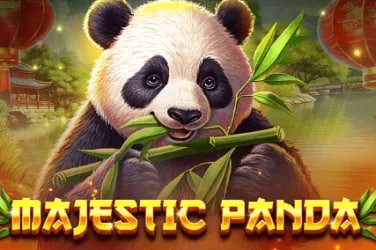 Bàn chơi live casino trực tuyến với dealer thật trên nền tảng 100win
